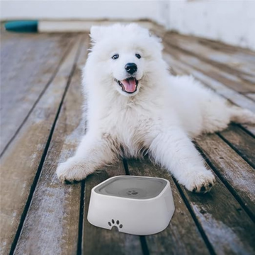 SloFlo - Pet drinking water bowl
