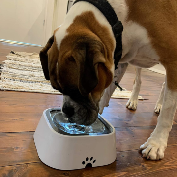 SloFlo - Pet drinking water bowl